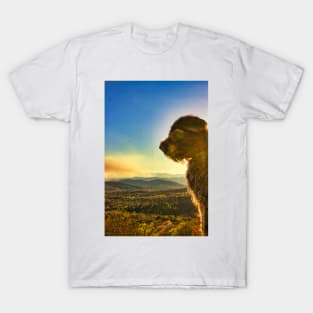 Griffon Sunset Over the Blue Ridge T-Shirt